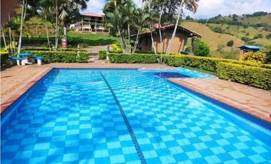 VENTA DE FINCA LA VIRGINIA - BALBOA RISARALDA