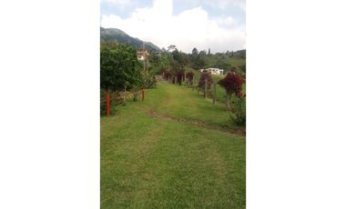 SE VENDE HERMOSA FINCA  POR EL MIRADOR  ESTANQUILLO ALTO