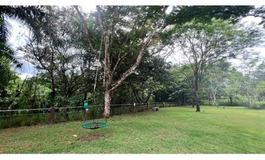 ALQUILO PH FOREST GATE AMOBLADO EN ALBROOK