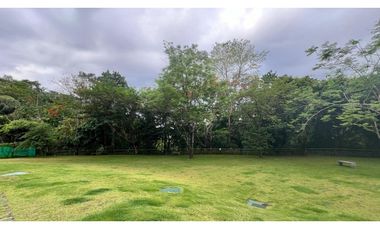 ALQUILO PH FOREST GATE AMOBLADO EN ALBROOK