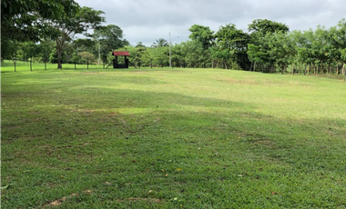 SE VENDEN LOTES DE 2000 MT2 EN CHORRERA (PD)