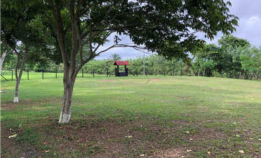 SE VENDEN LOTES DE 2000 MT2 EN CHORRERA (PD)