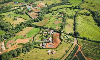 SE VENDE TERRENO DE 31,500 MT2 (PD)
