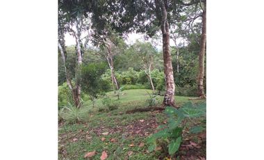 Venta: Finca de 6 hectareas en Tambo de Penonomé