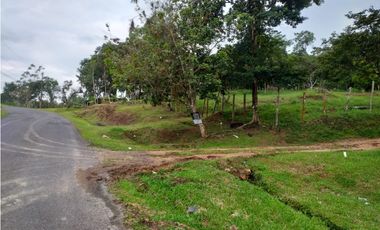 Venta: Finca de 6 hectareas en Tambo de Penonomé