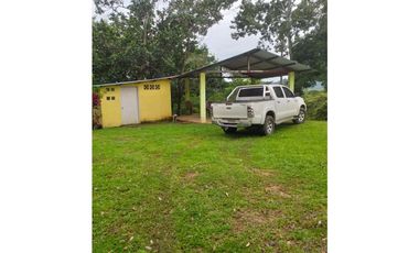 Venta: Finca de 6 hectareas en Tambo de Penonomé