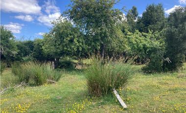 VENTA TERRENO 5,8 Ha. EN ISLA DE CHILOÉ SAN ANTONIO DE CHADMO.