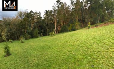 Parcela en Venta en Quiquico Rural
