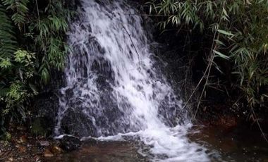 Vendemos parcela en la comuna de Lago Ranco sector Calcurrupe