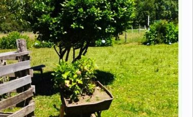 Vendemos parcela en la comuna de Lago Ranco sector Calcurrupe