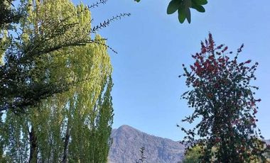 Vendemos parcela en la comuna de Lago Ranco sector Calcurrupe
