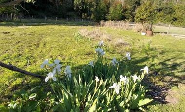 Vendemos parcela en la comuna de Lago Ranco sector Calcurrupe