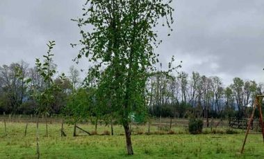Vendemos parcela en la comuna de Lago Ranco sector Calcurrupe