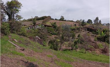 VENDO FINCA MARINILLA VIA PEÑOL 8 MIL METROS CH