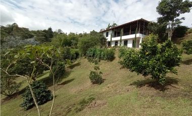 VENDO FINCA MARINILLA VIA PEÑOL 8 MIL METROS CH