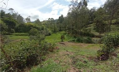 VENDO FINCA MARINILLA VIA PEÑOL 8 MIL METROS CH