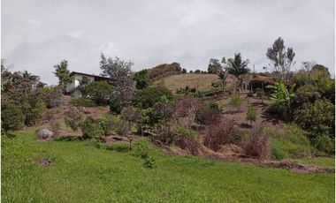 VENDO FINCA MARINILLA VIA PEÑOL 8 MIL METROS CH
