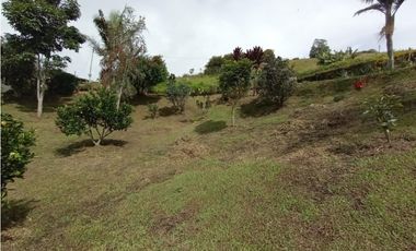 VENDO FINCA MARINILLA VIA PEÑOL 8 MIL METROS CH