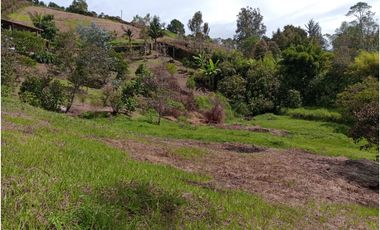 VENDO FINCA MARINILLA VIA PEÑOL 8 MIL METROS CH