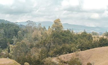 LOTES CAMPESTRES EN PARCELACION EL RETIRO VIA PANTANILLO