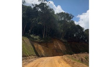 LOTES CAMPESTRES EN PARCELACION EL RETIRO VIA PANTANILLO