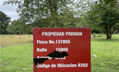 Venta: Lote a 3 minutos de la panamericana en Chame