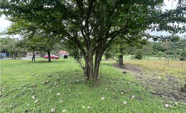 Venta: Lote a 3 minutos de la panamericana en Chame