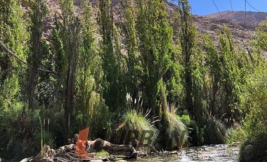 HERMOSA PARCELA EN COCHIGUAZ - FUNDO ALFALFA