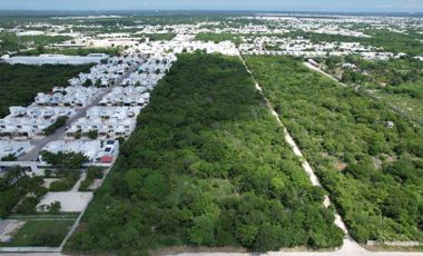 Terreno en venta de OPORTUNIDAD en Dzitya, Yucatán, para desarrollar (10,000m2)