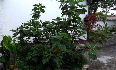 Arriendo/Venta de CASAS en GARZON