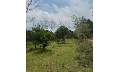 VENDO UNA HECTAREA EN POTRERILLOS ABAJO