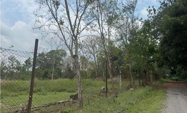 VENDO UNA HECTAREA EN POTRERILLOS ABAJO