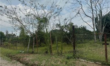 VENDO UNA HECTAREA EN POTRERILLOS ABAJO