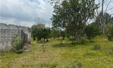 VENDO UNA HECTAREA EN POTRERILLOS ABAJO