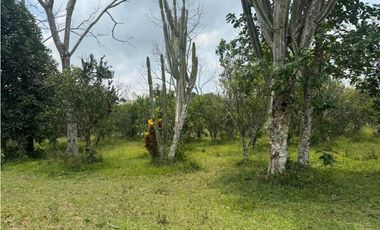 VENDO UNA HECTAREA EN POTRERILLOS ABAJO