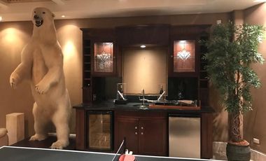Casa en venta en Las Haciendas en Reynosa Tamaulipas