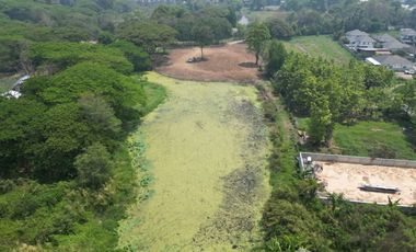 Land for sale in Tha Wang Tan, Chiang Mai