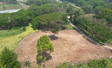 Land for sale in Tha Wang Tan, Chiang Mai