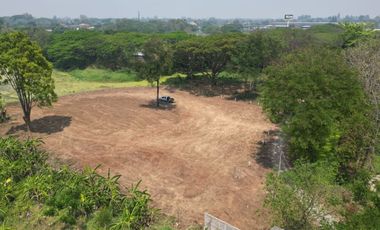 Land for sale in Tha Wang Tan, Chiang Mai