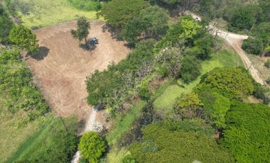 Land for sale in Tha Wang Tan, Chiang Mai