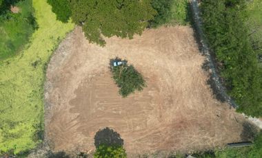 Land for sale in Tha Wang Tan, Chiang Mai