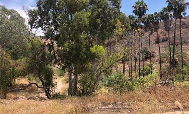 PARCELA EN VENTA EN CAÑÓN DEL SAINZ
