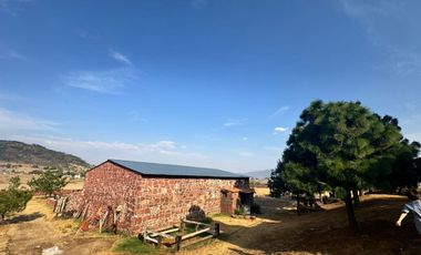 VENTA DE RANCHO LA MURALLA AMEALCO