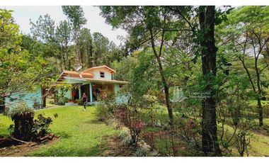 ALQUILER CASA AMOBLADA  EN  ALTOS DEL MARIA cv