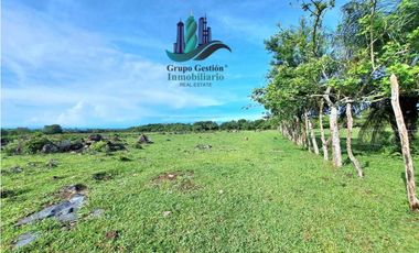 VENDO FINCA DE 120HA GANADERIA-TOP PLANA