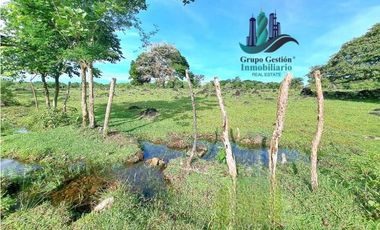 VENDO FINCA DE 120HA GANADERIA-TOP PLANA
