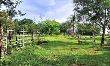 VENDO FINCA DE 120HA GANADERIA-TOP PLANA