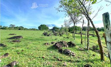 VENDO FINCA DE 120HA GANADERIA-TOP PLANA