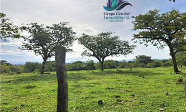 VENDO FINCA DE 120HA GANADERIA-TOP PLANA