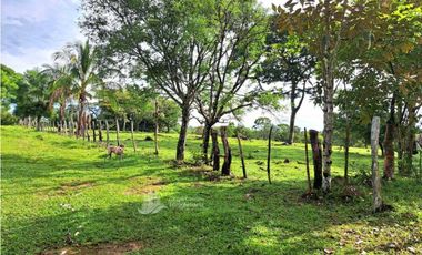 VENDO FINCA DE 120HA GANADERIA-TOP PLANA